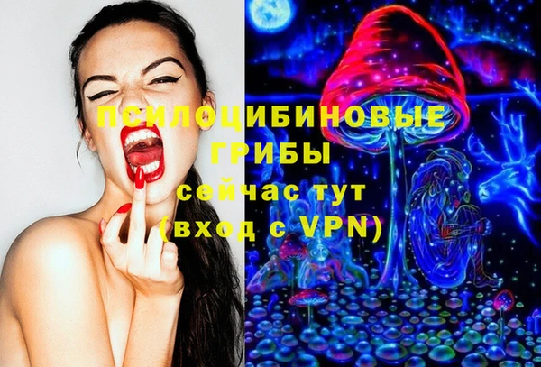 ALPHA PVP Армянск